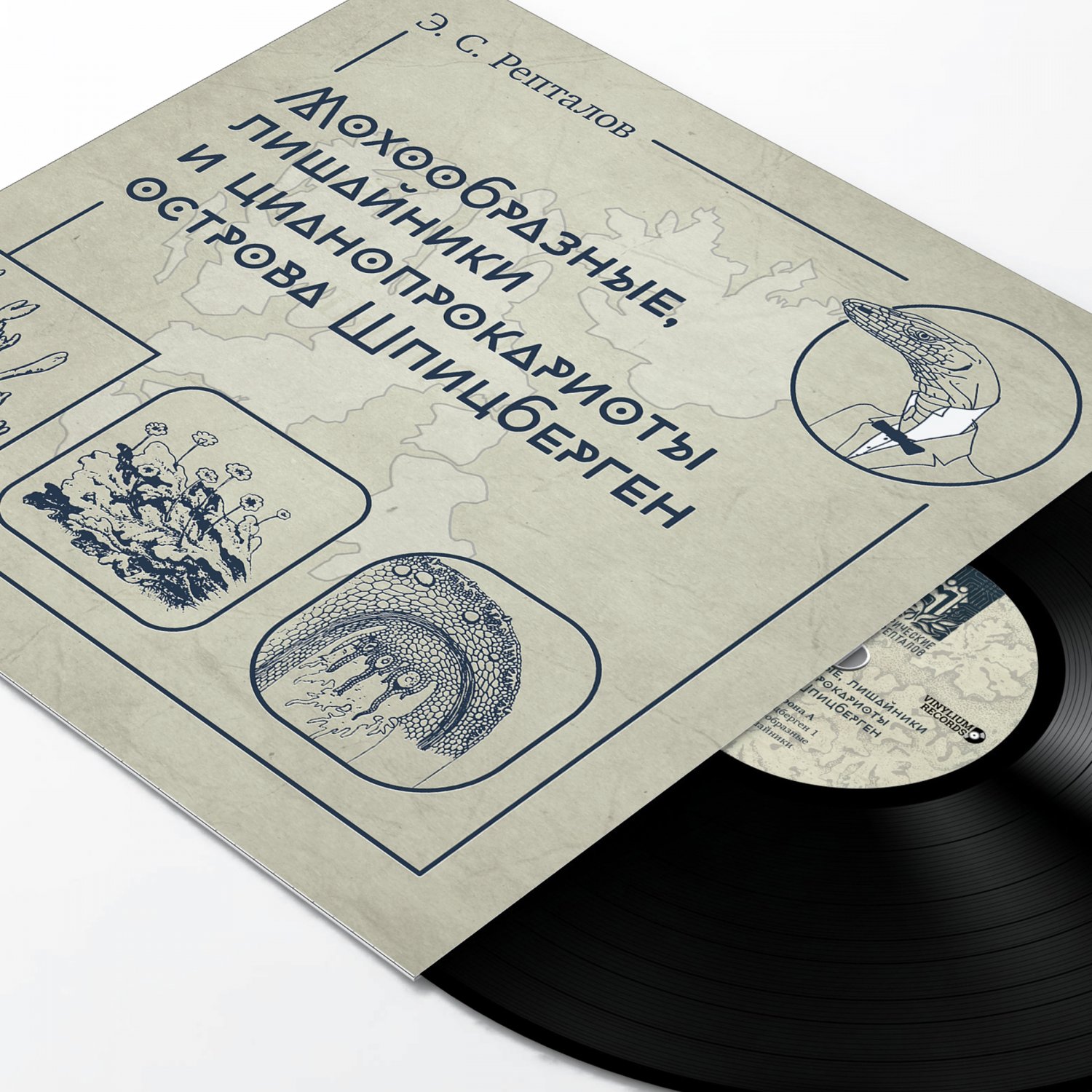 Дизайн обложки виниловой пластинки и CD-диска альбома «Мохообразные, лишайники и цианопрокариоты острова Шпицберген» электронного проекта «Электрические сады репталов» — фото 3